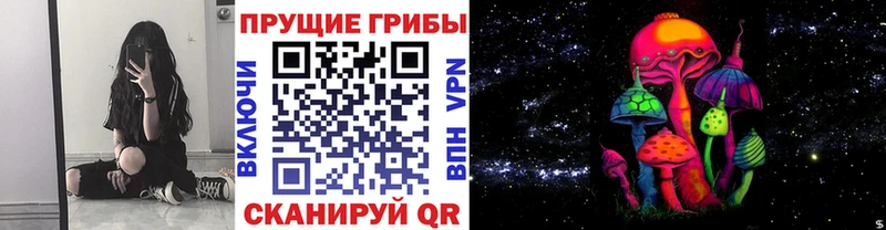 где найти   Кропоткин  Псилоцибиновые грибы Magic Shrooms 